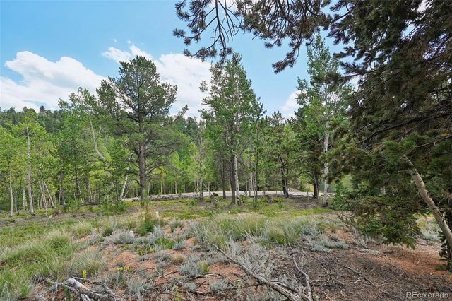 2659 Edlowe Road, Woodland Park, CO 80863