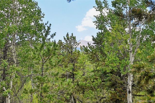 2659 Edlowe Road, Woodland Park, CO 80863