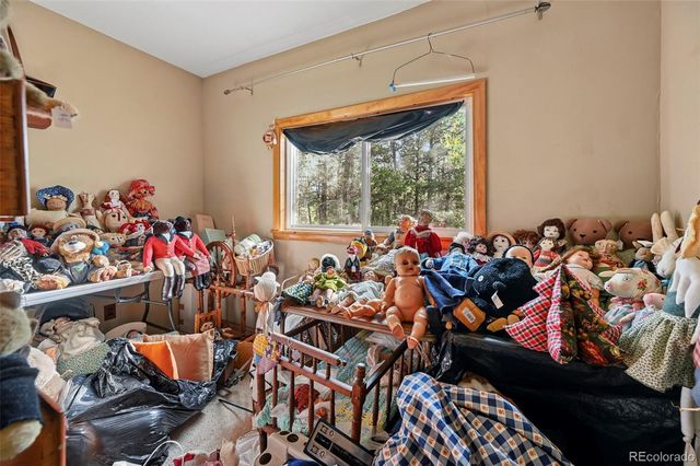 2659 Edlowe Road, Woodland Park, CO 80863