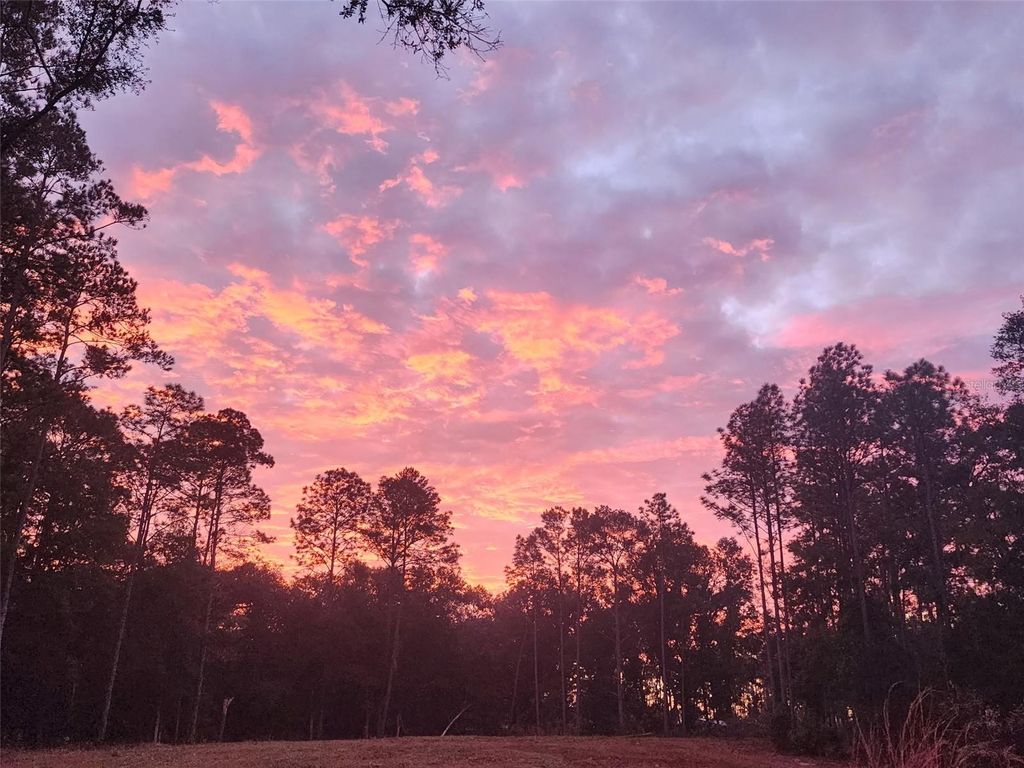 12864 SW 41ST PLACE, Ocala, FL 34481