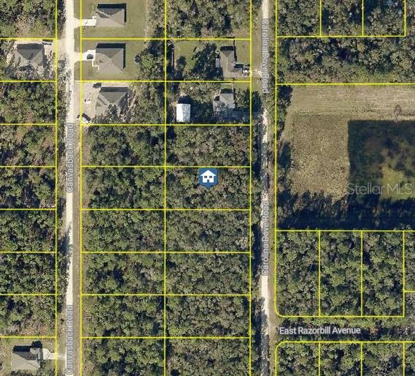 LOT 1021 CAROLINA DOVE ROAD, Brooksville, FL 34614