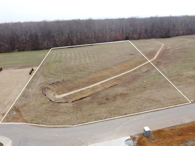 119 Sydney School Way, Hazel Green, AL 35750