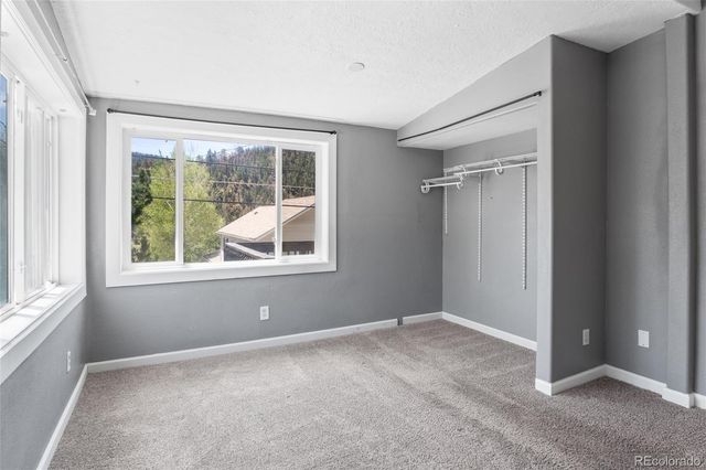 644 Virginia Street, Idaho Springs, CO 80452