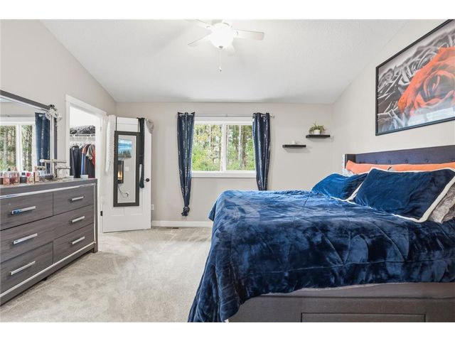 425 Alex Court, Somerset, WI 54025