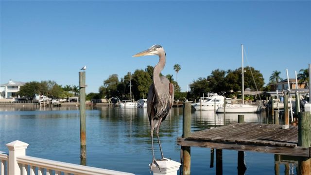 1466 LAURA STREET, Clearwater, FL 33755