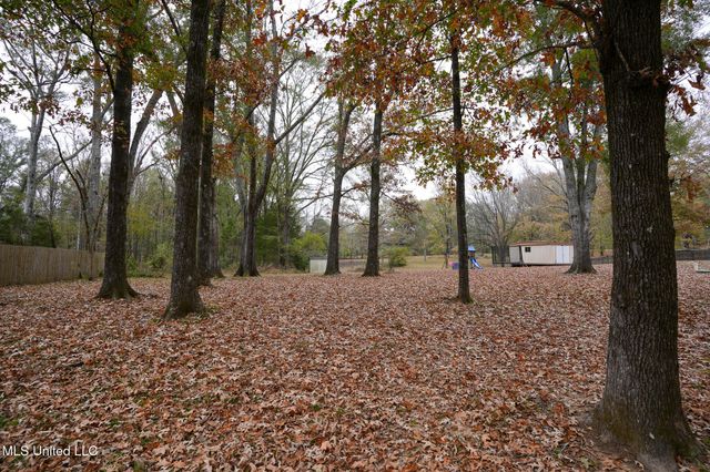 131 Chapel Clliff Drive, Raymond, MS 39154