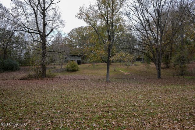 131 Chapel Clliff Drive, Raymond, MS 39154