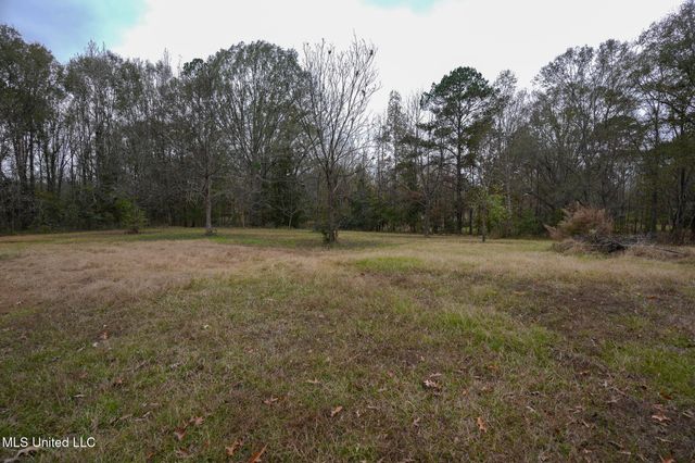 131 Chapel Clliff Drive, Raymond, MS 39154