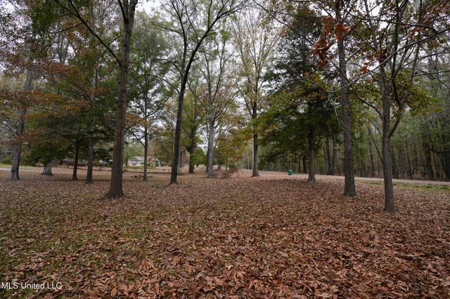 131 Chapel Clliff Drive, Raymond, MS 39154