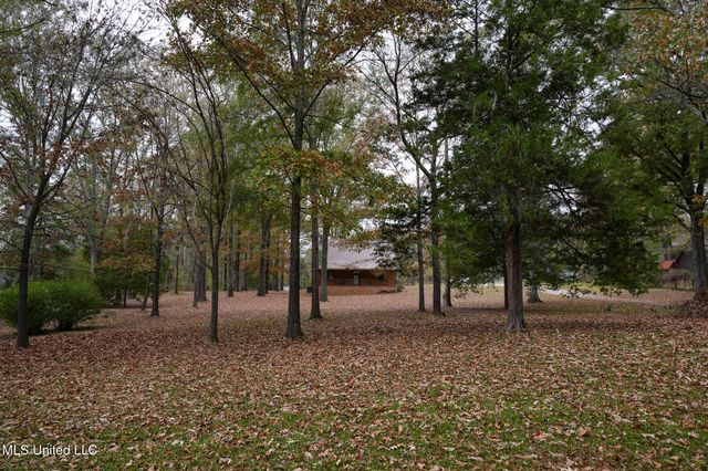 131 Chapel Clliff Drive, Raymond, MS 39154