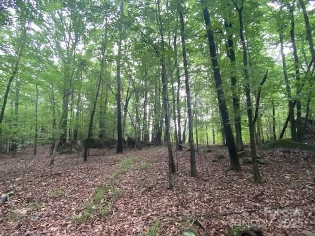 5410 A R Gordon Road, Waxhaw, NC 28173