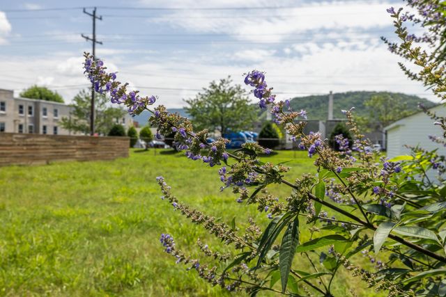 432 ARCH AVE, Waynesboro, VA 22980