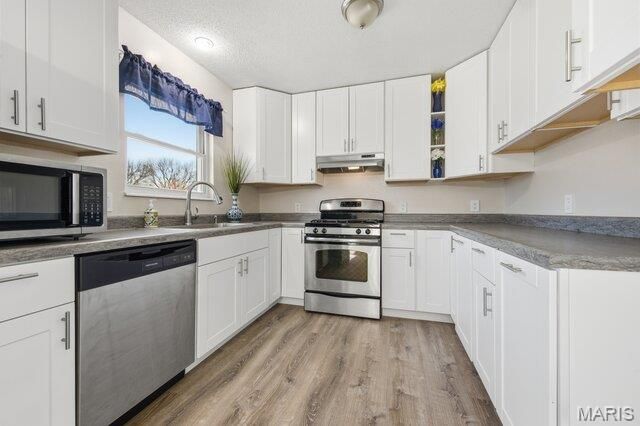 101 El Caballo Drive, St Peters, MO 63376