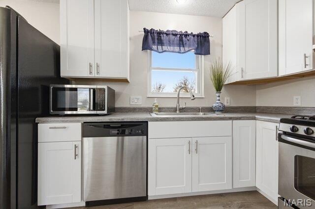 101 El Caballo Drive, St Peters, MO 63376