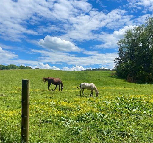 801 Purdum Mill Road, Appomattox, VA 24522