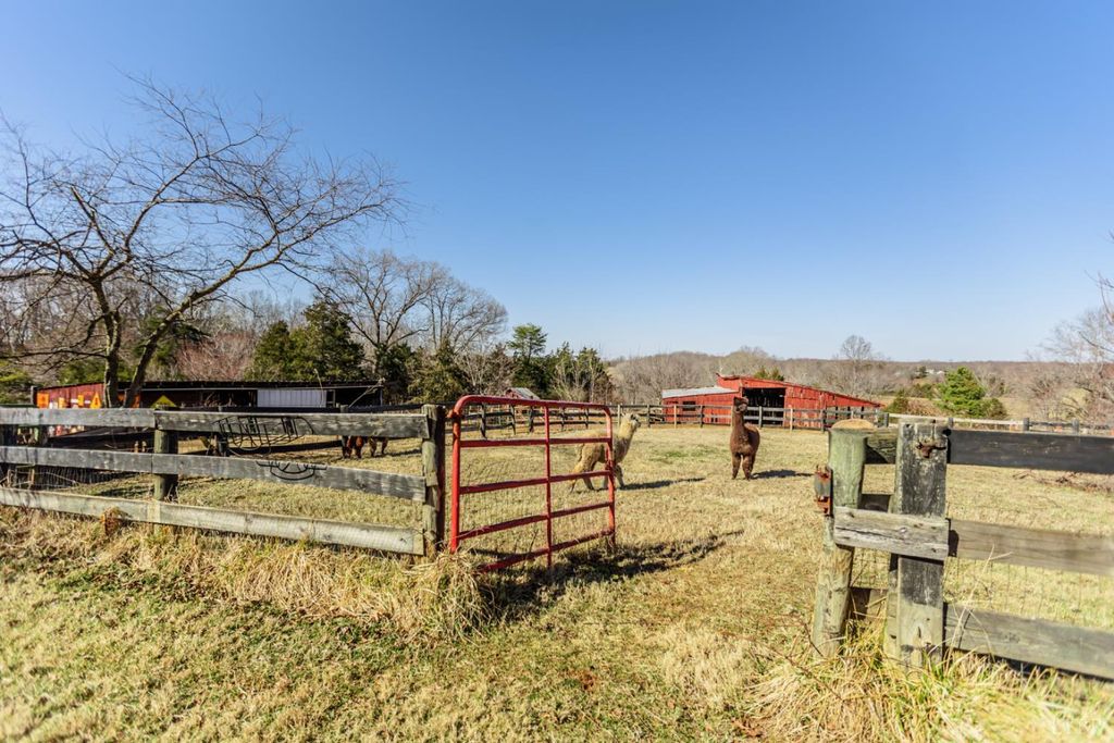 Image 44 of property listing at 801 Purdum Mill Road, Appomattox, VA 24522