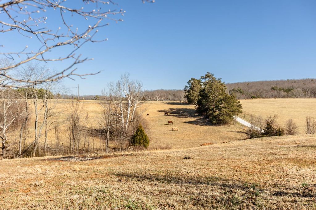 Image 55 of property listing at 801 Purdum Mill Road, Appomattox, VA 24522