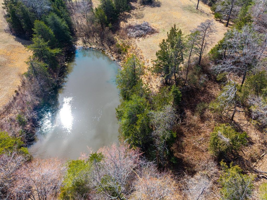 Image 61 of property listing at 801 Purdum Mill Road, Appomattox, VA 24522