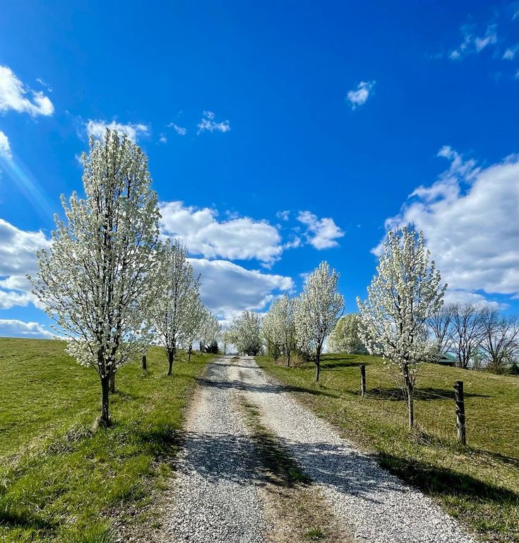 Image 65 of property listing at 801 Purdum Mill Road, Appomattox, VA 24522