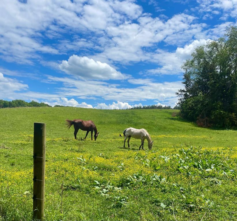 Image 66 of property listing at 801 Purdum Mill Road, Appomattox, VA 24522
