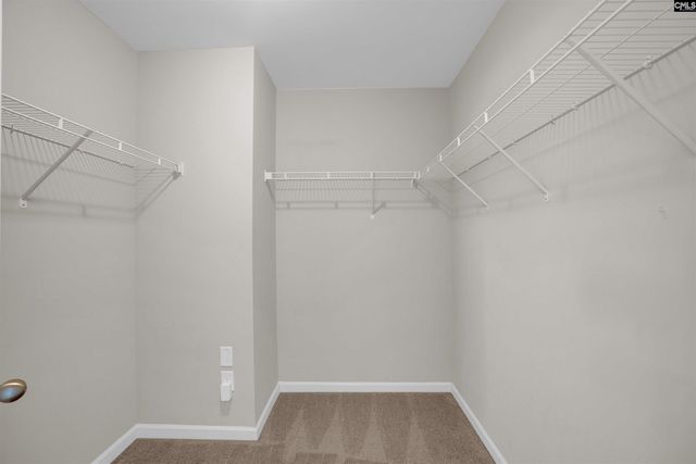 26 Vintage Oak Court, Camden, SC 29020