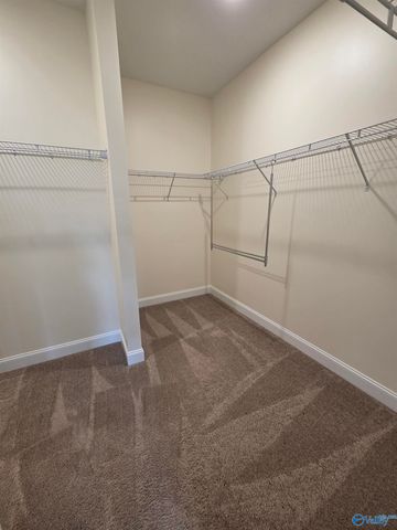 14141 Harvest Ridge Lane, Athens, AL 35611