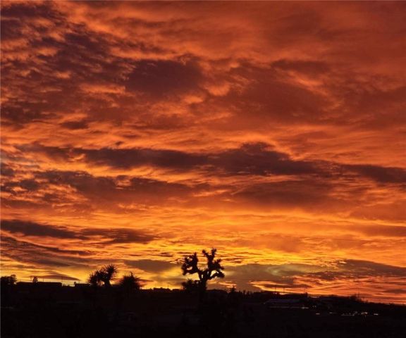 27335 N Pear Avenue, Meadview, AZ 86444