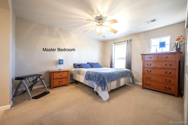 3766 Ute Mountain Trail, Castle Rock, CO 80109