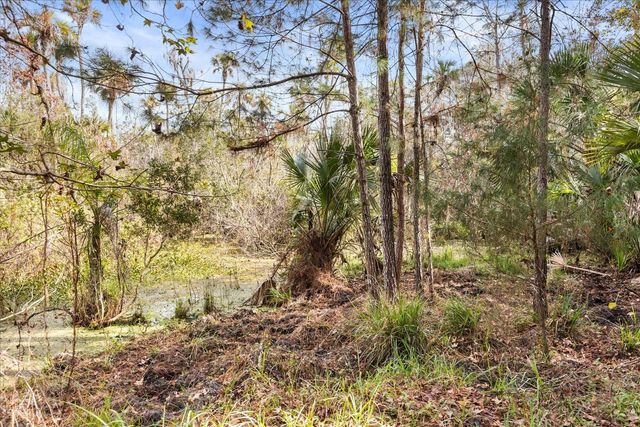 1705 SUNSET TRAIL, Geneva, FL 32732