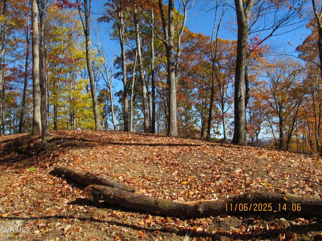 282 Siesta Lodge Drive, Coeburn, VA 24230