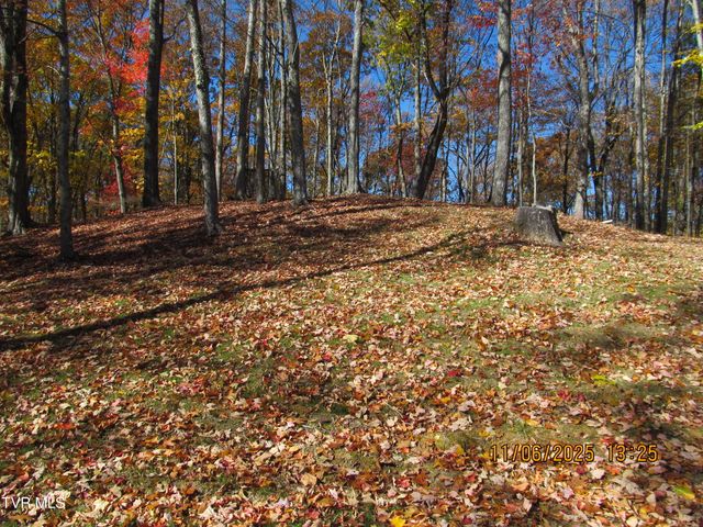 282 Siesta Lodge Drive, Coeburn, VA 24230