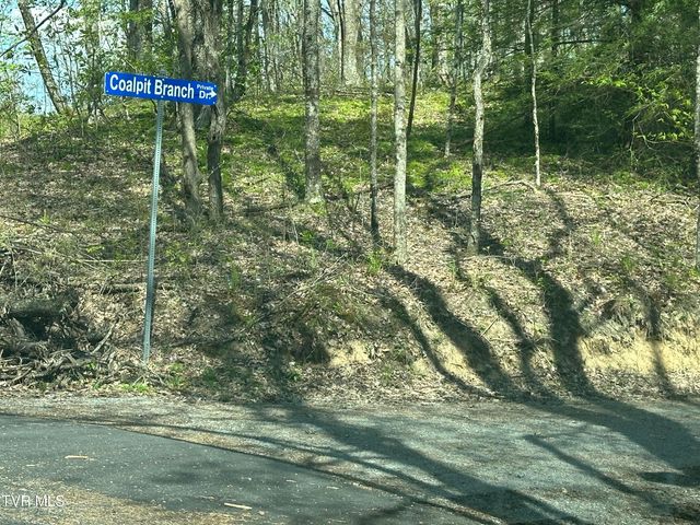 282 Siesta Lodge Drive, Coeburn, VA 24230