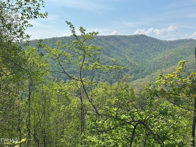 282 Siesta Lodge Drive, Coeburn, VA 24230
