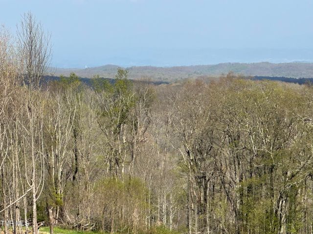 282 Siesta Lodge Drive, Coeburn, VA 24230