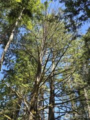 309 E Pointes Drive E, Shelton, WA 98584