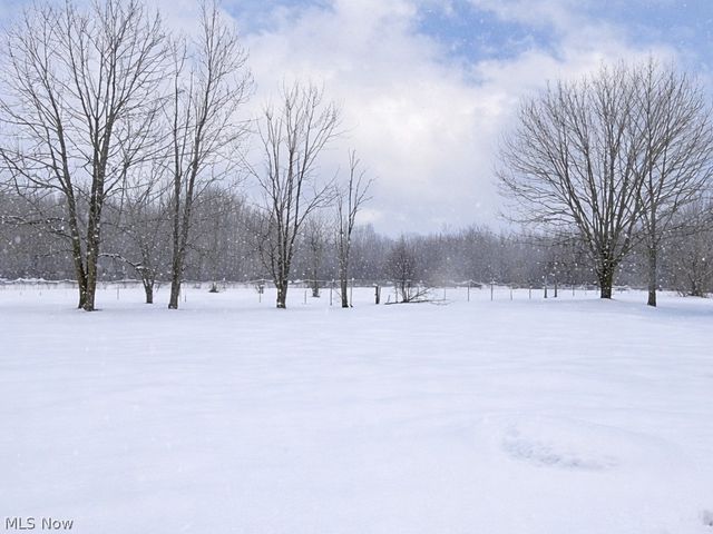 6615 Clay Street, Thompson, OH 44086