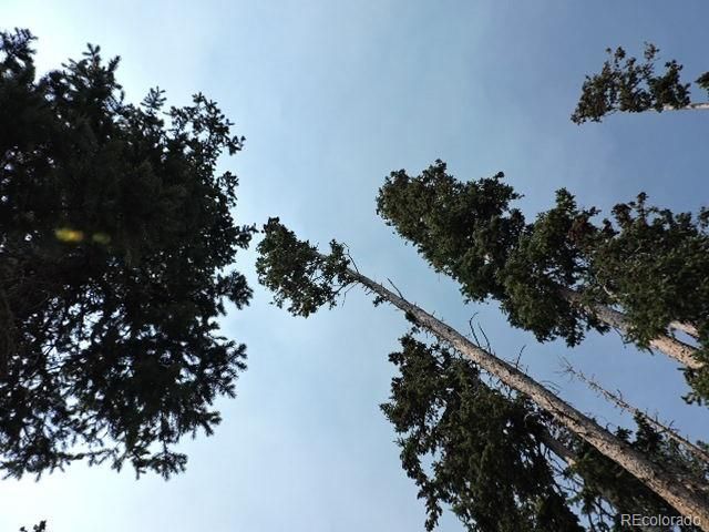 6548 Giesse Road, San Luis, CO 81152