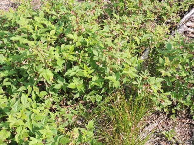 6548 Giesse Road, San Luis, CO 81152