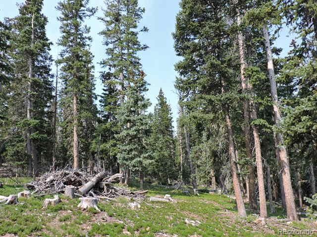 6548 Giesse Road, San Luis, CO 81152