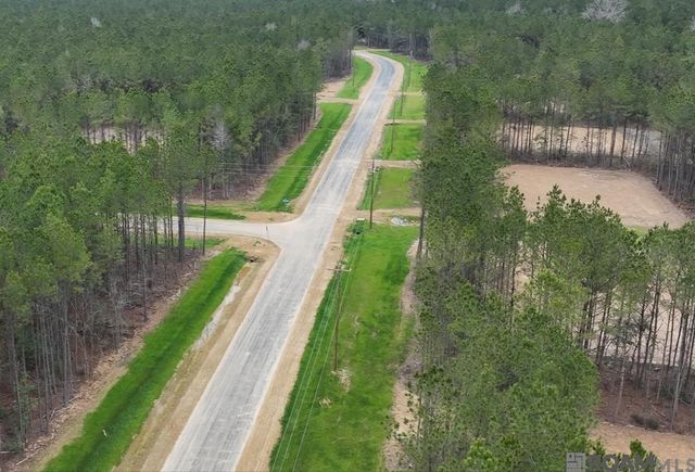 18990 Honey Grove, Livingston, LA 70754