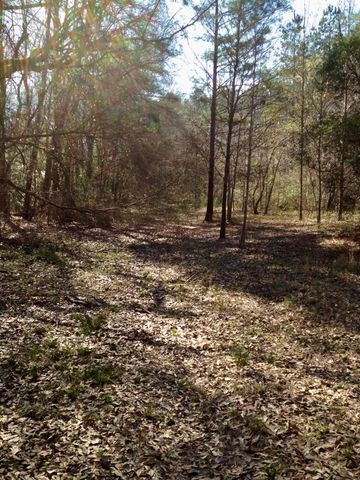 TBD County Road 3017c, Dayton, TX 77535