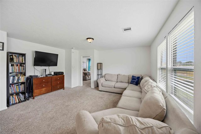 15338 Trinity Meadow Drive, Houston, TX 77489