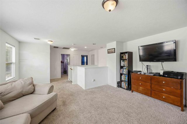 15338 Trinity Meadow Drive, Houston, TX 77489