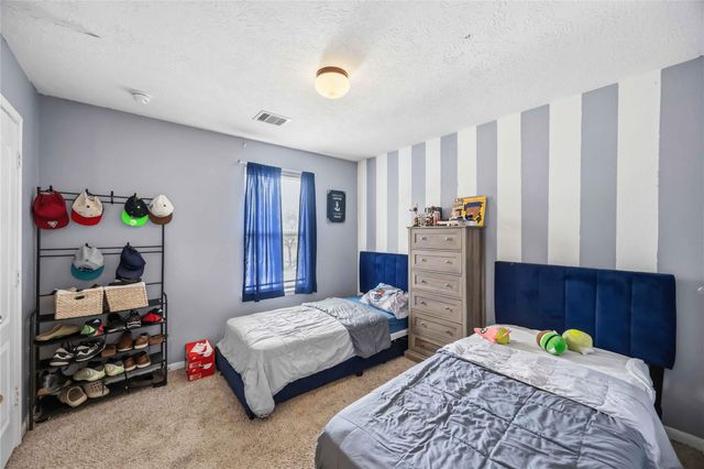 15338 Trinity Meadow Drive, Houston, TX 77489