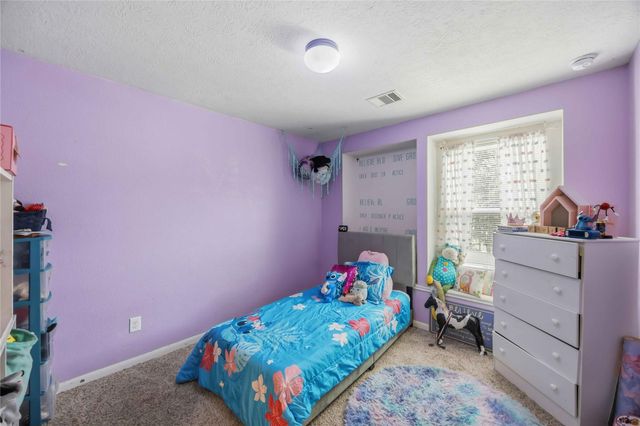 15338 Trinity Meadow Drive, Houston, TX 77489