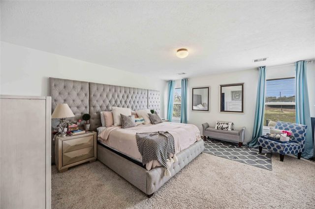 15338 Trinity Meadow Drive, Houston, TX 77489