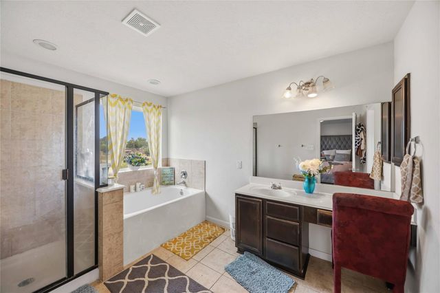 15338 Trinity Meadow Drive, Houston, TX 77489
