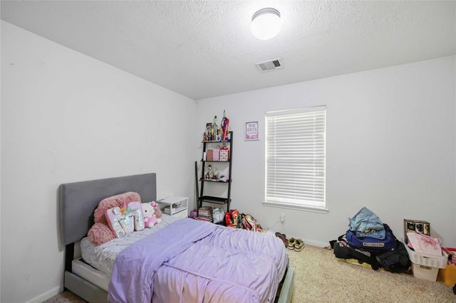 15338 Trinity Meadow Drive, Houston, TX 77489