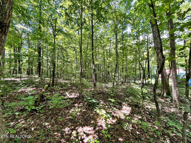 499 Correll Ridge Road, Decatur, TN 37322
