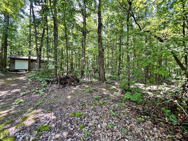 499 Correll Ridge Road, Decatur, TN 37322